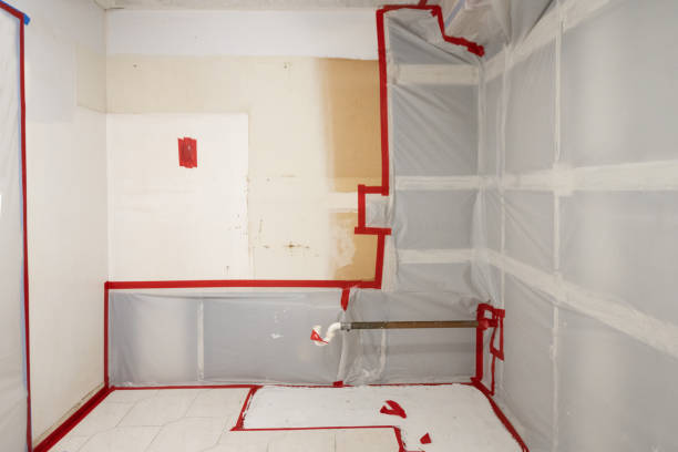 Best Air Quality Testing for Mold Spores  in Glenwood Landing, NY