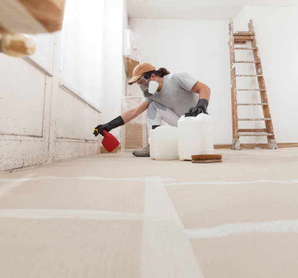 Best HVAC Mold Inspection and Cleaning  in Glenwood Landing, NY